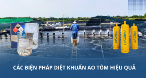 Các biện pháp diệt khuẩn ao tôm hiệu quả